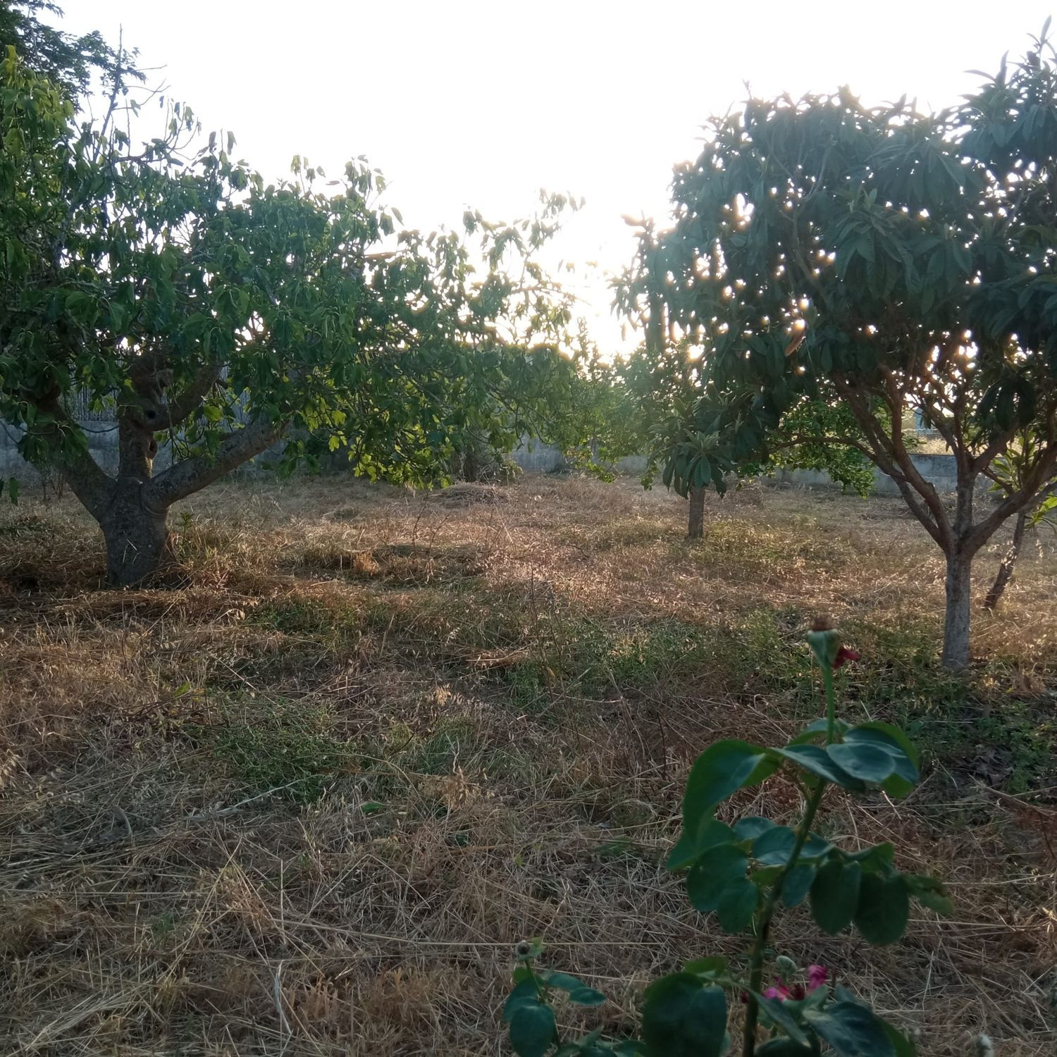 Finca rústica en Ma-3440 s/n, Zona periurbana, Zona periurbana - Foto 4
