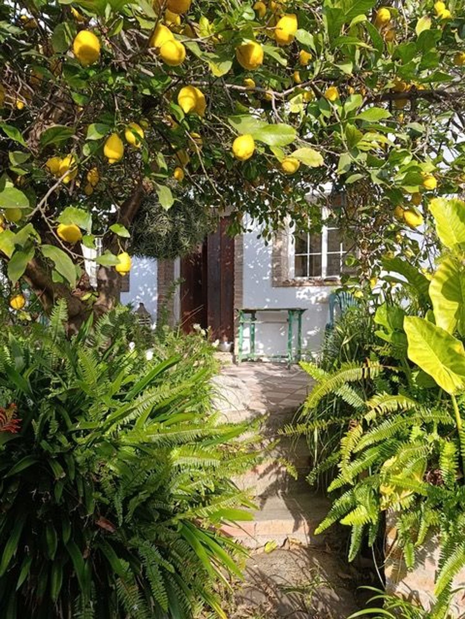 Estudio en Calle Rincón, 8 - Foto 3
