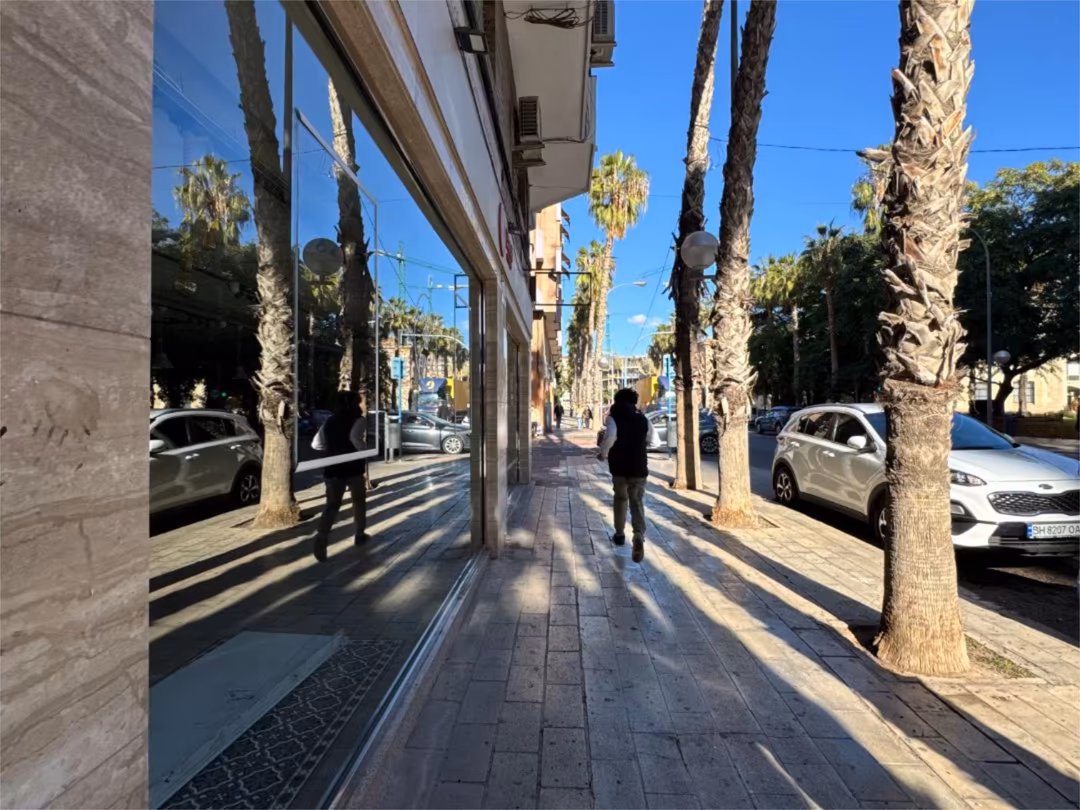 Planta baja en  Carrer Pardo Gimeno 61 - Foto 4