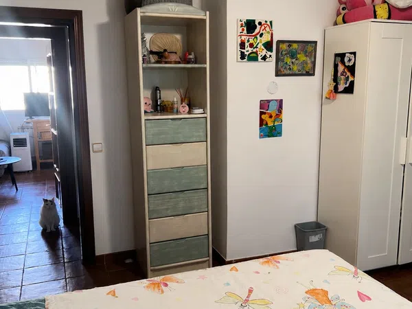 Casa o chalet independiente en Cogolludo - Foto 16