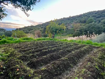 Finca rústica en  Diseminado Pedregales 180 - Foto 8