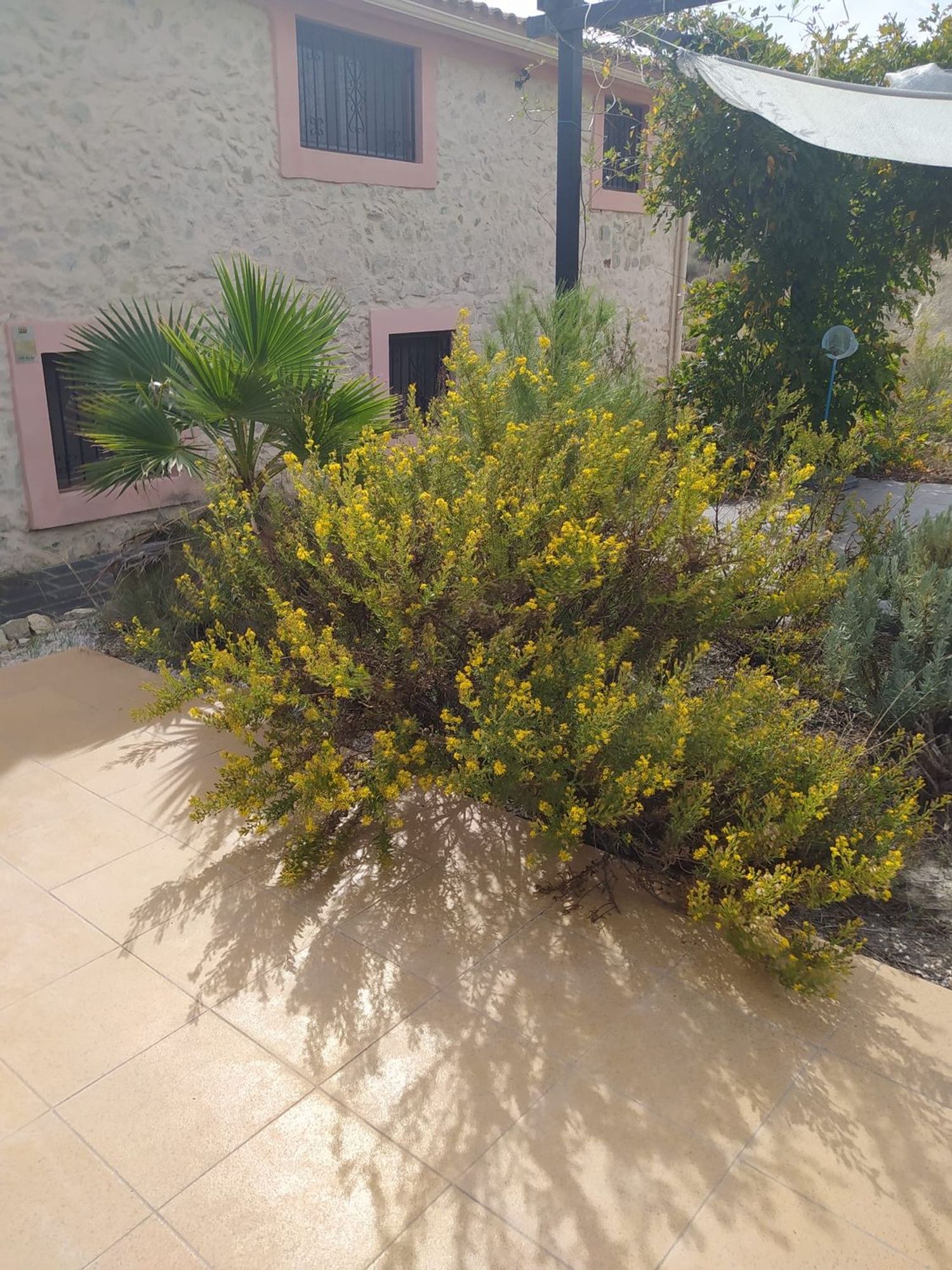 Casa rural en Via Camino la Charrara s/n - Foto 9