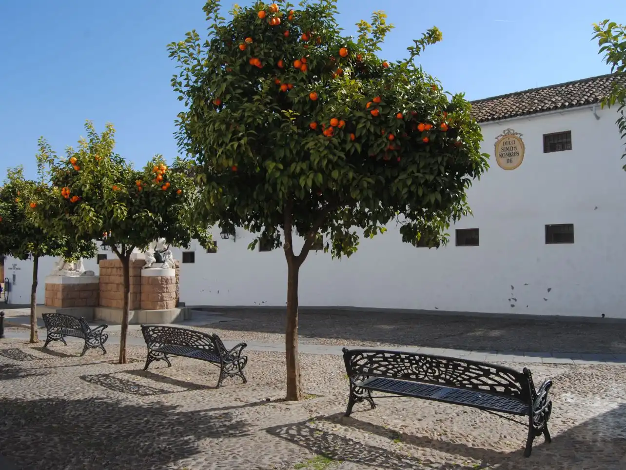 Piso en  Plaza del Conde de Priego 1 - Foto 4
