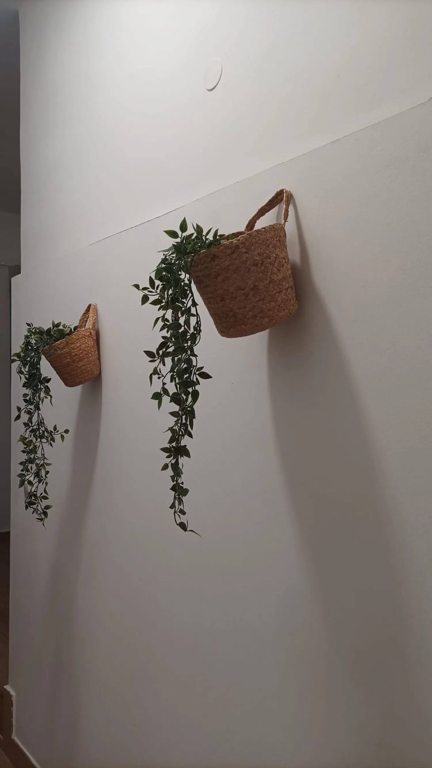 Estudio en plaza de Menéndez Pelayo, 6 - Foto 4