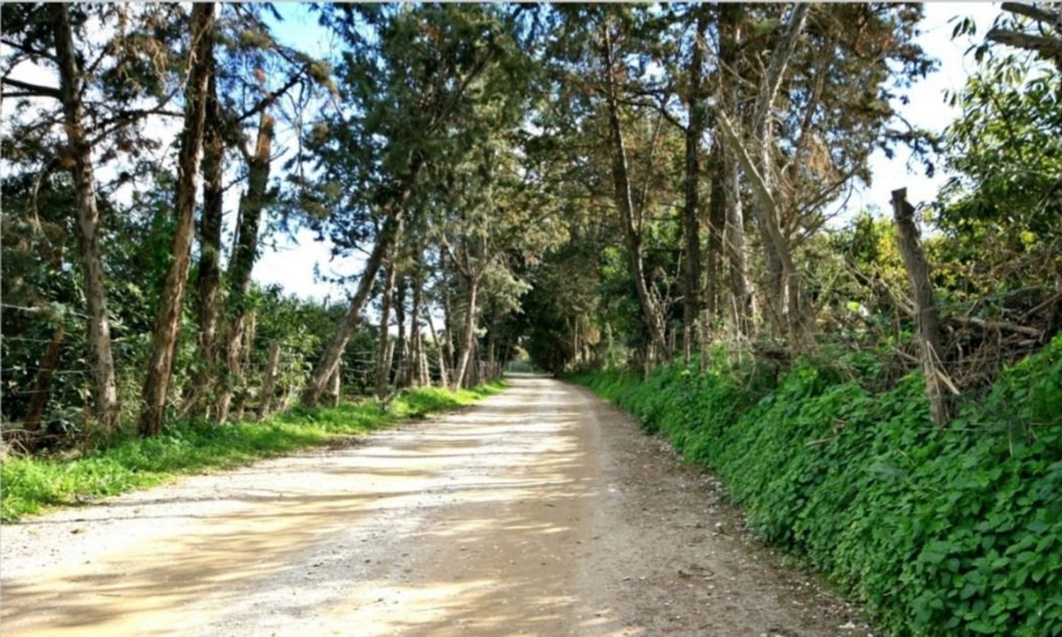 Piso en Diseminado Chaparral, 280 - Foto 2