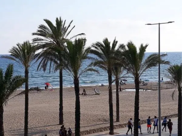 Piso en Calle d.Antoni Almazor, 6, Segur Platja - Foto 29