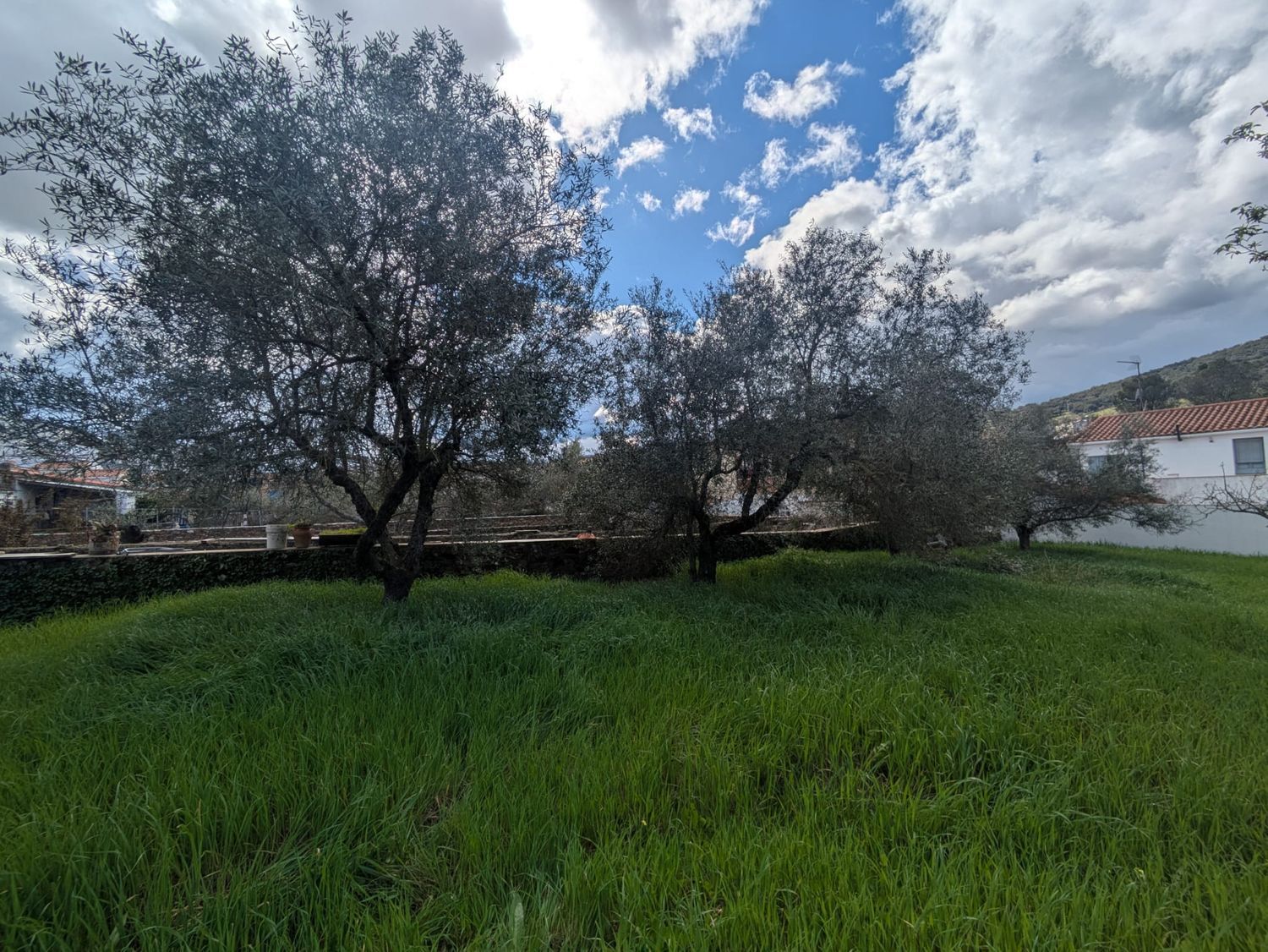 Casa de pueblo en Paseo de Extremadura, 32 - Foto 12