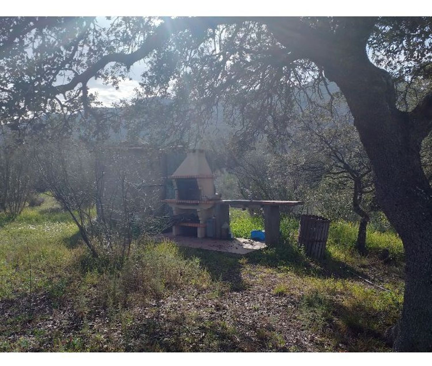 Finca rústica en Sierra de Mampar s/n - Foto 5