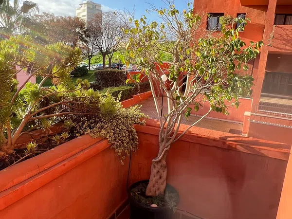 Piso en calle Maria De Maeztu, 3 - Foto 8