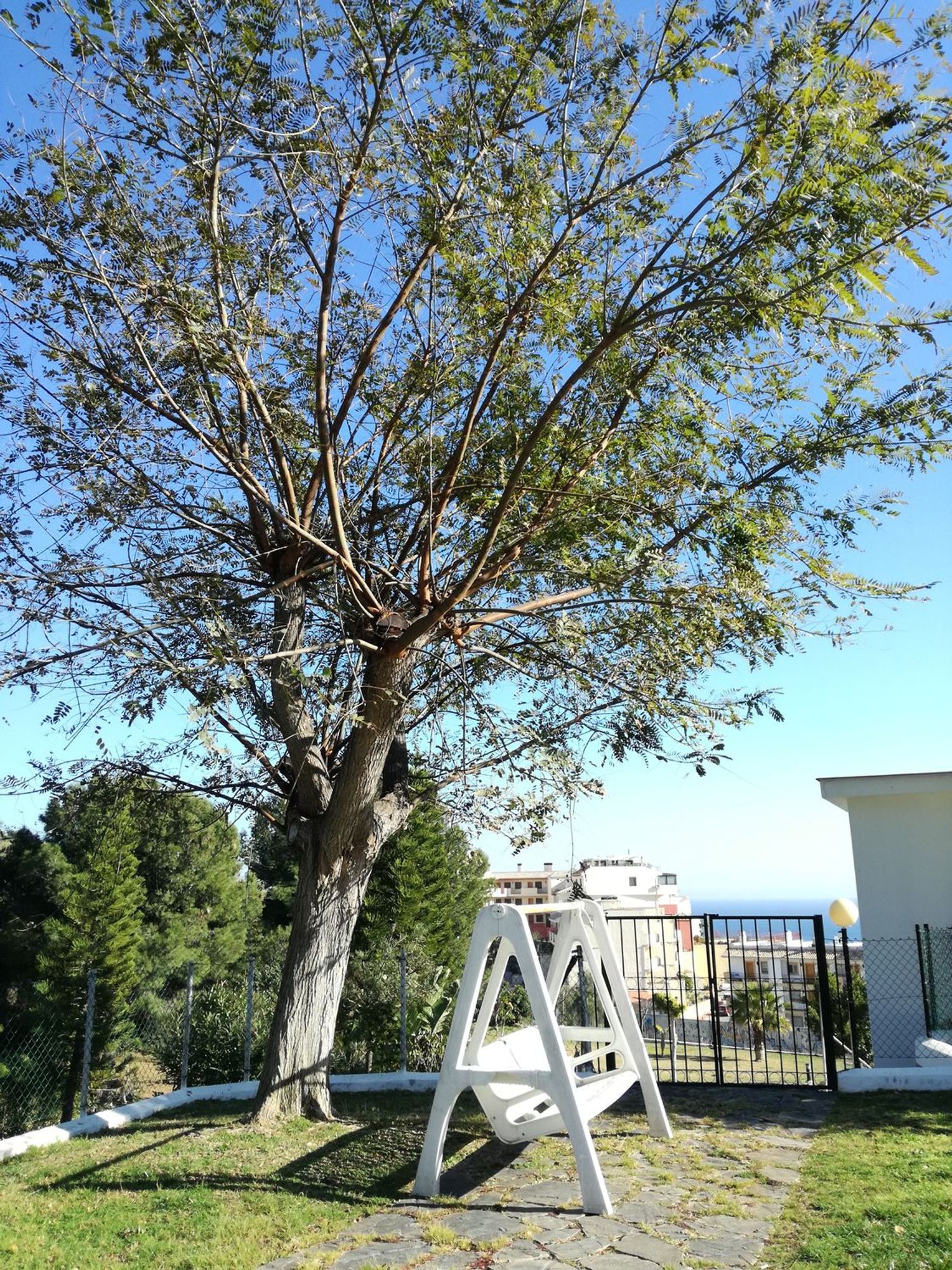 Piso en avenida Carvajal, 2 - Foto 22