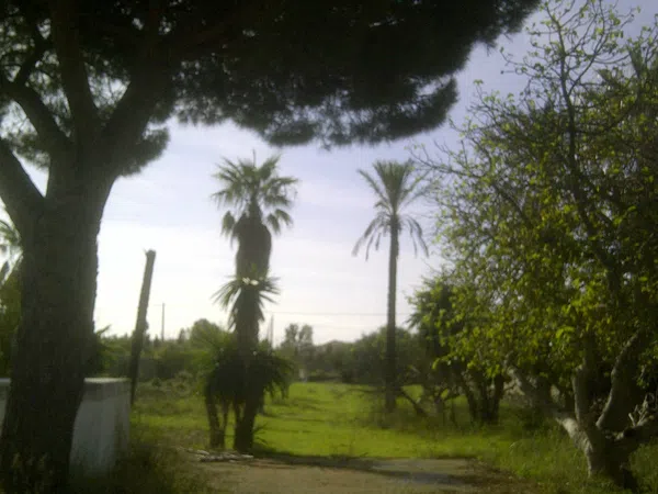 Casa independiente en calle Ceuta s/n - Foto 9