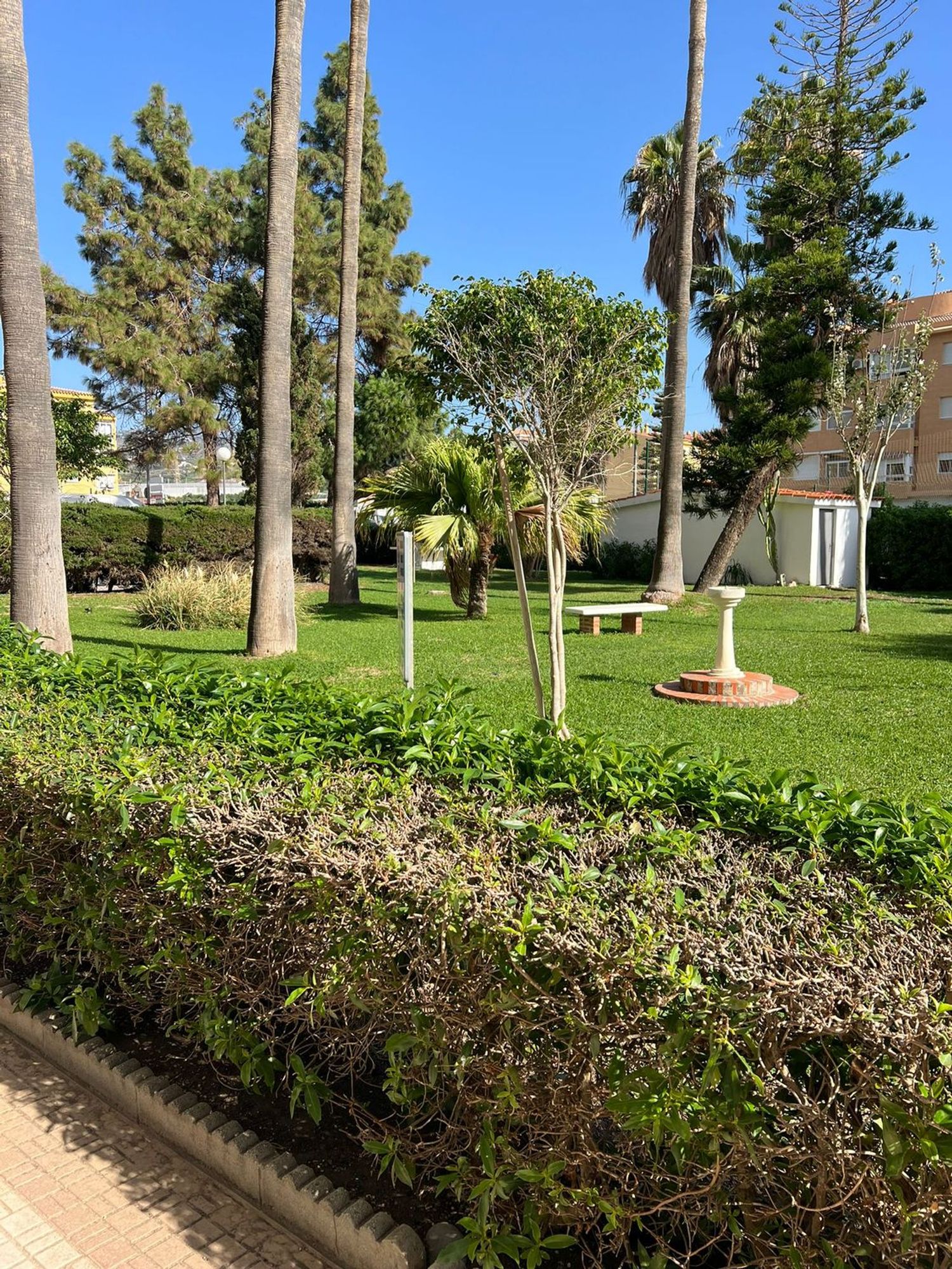 Estudio en avenida de Andalucia, 36 - Foto 28