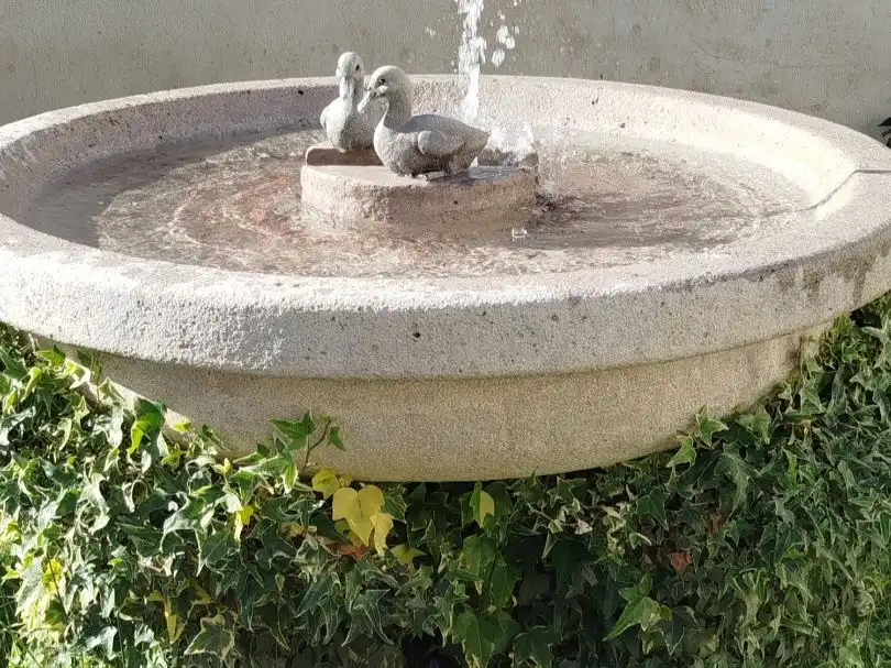 Piso en  Calle del Capitán Rojas 18 - Foto 7