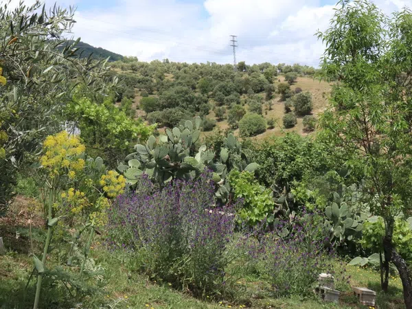 Chalet pareado en carretera Cc-431 s/n - Foto 38