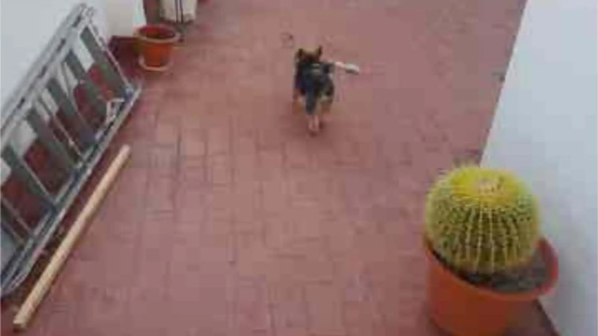 Chalet en santo ángel (murcia) - Foto 2