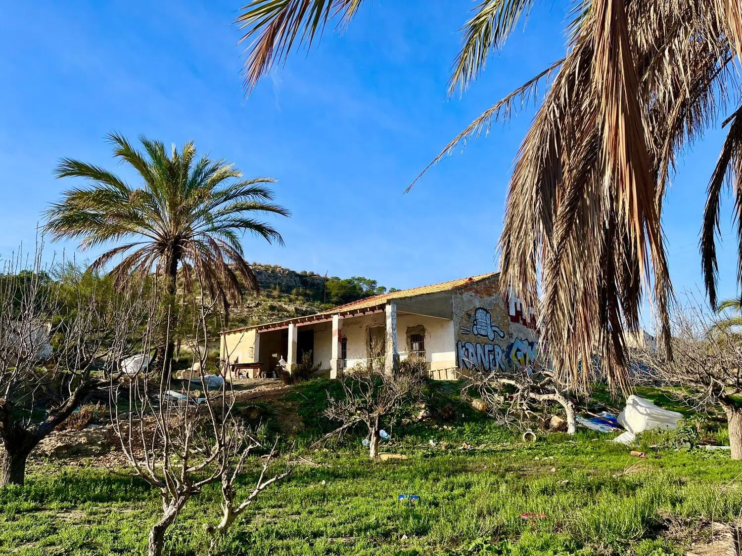 Finca rústica en camino Viejo de Saladas, 2 - Foto 4