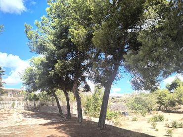 Chalet en  Partida Cachapets 4 - Foto 20