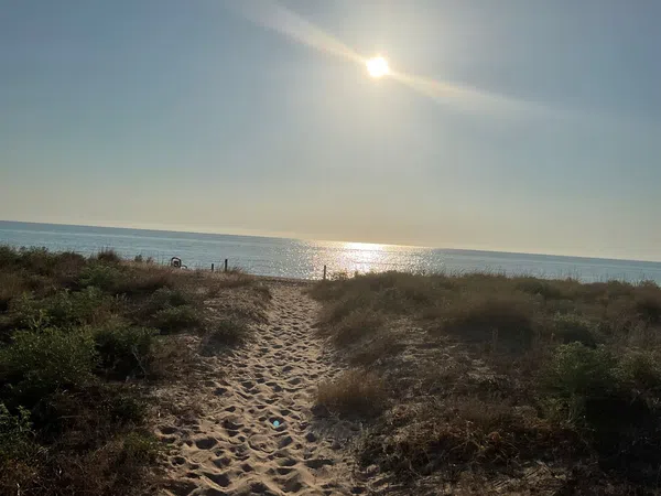 Casa independiente en plaza Marenys Sector 2-b, 523 C - Foto 1