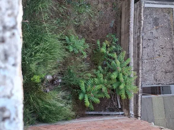 Casa de pueblo en Calle Primero de Mayo, 24 - Foto 5