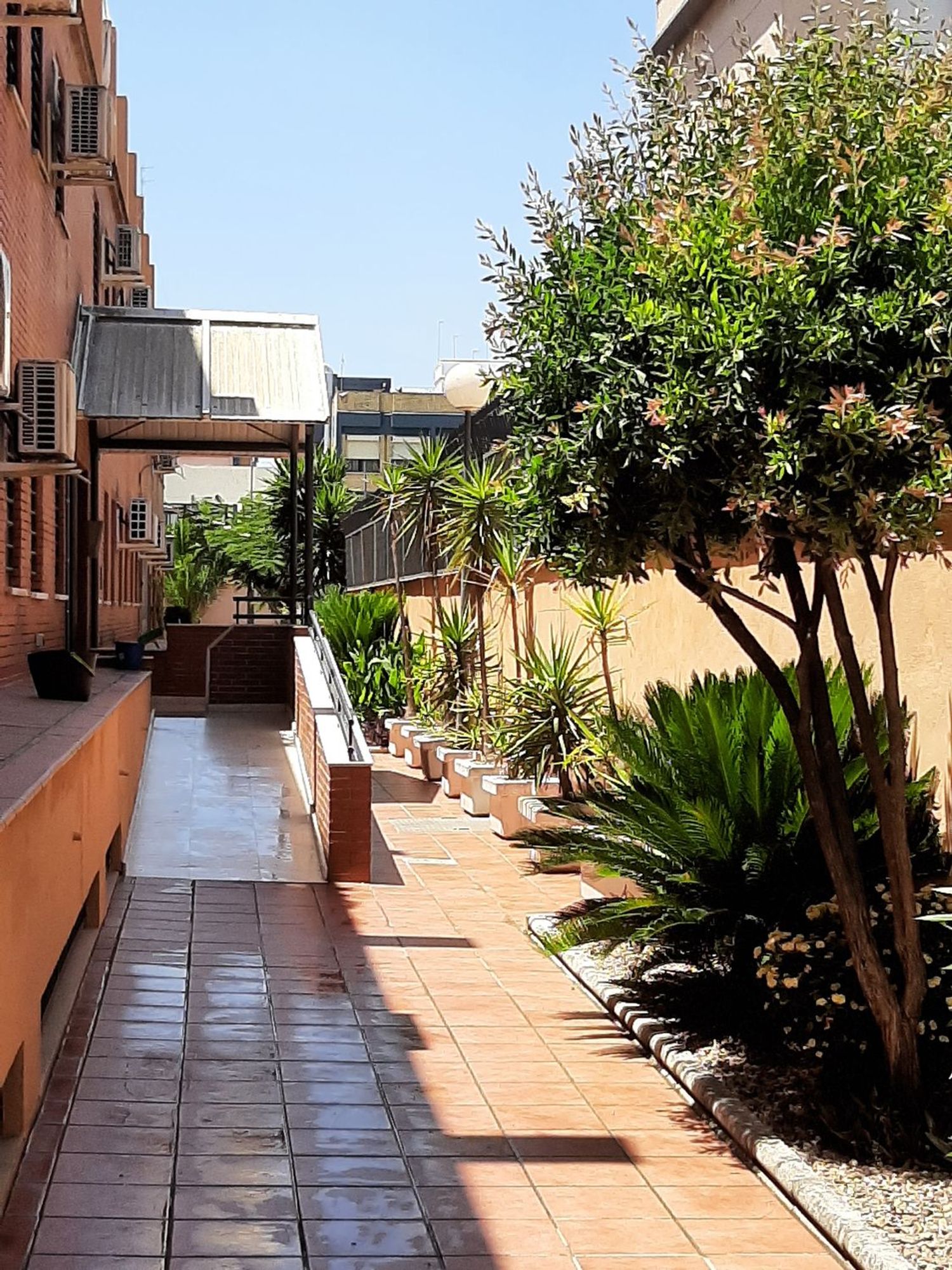 Estudio en Calle Antonio Maura Montaner, 4, La Palmera - Manuel Siurot - Foto 9