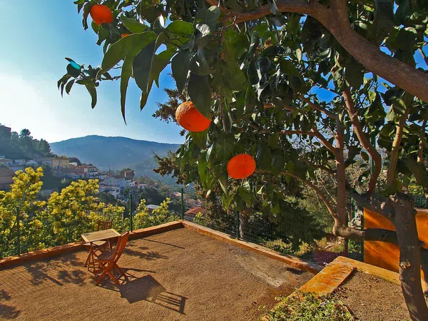 Casa o chalet independiente en Calle de Sant Ignasi de Loiola, 9, Les Planes, Les Planes - Foto 8