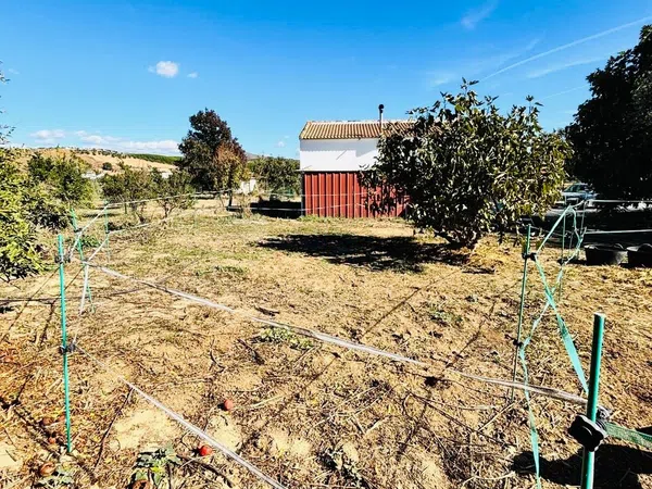 Finca rústica en Diseminado Poligono, 38 - Foto 27