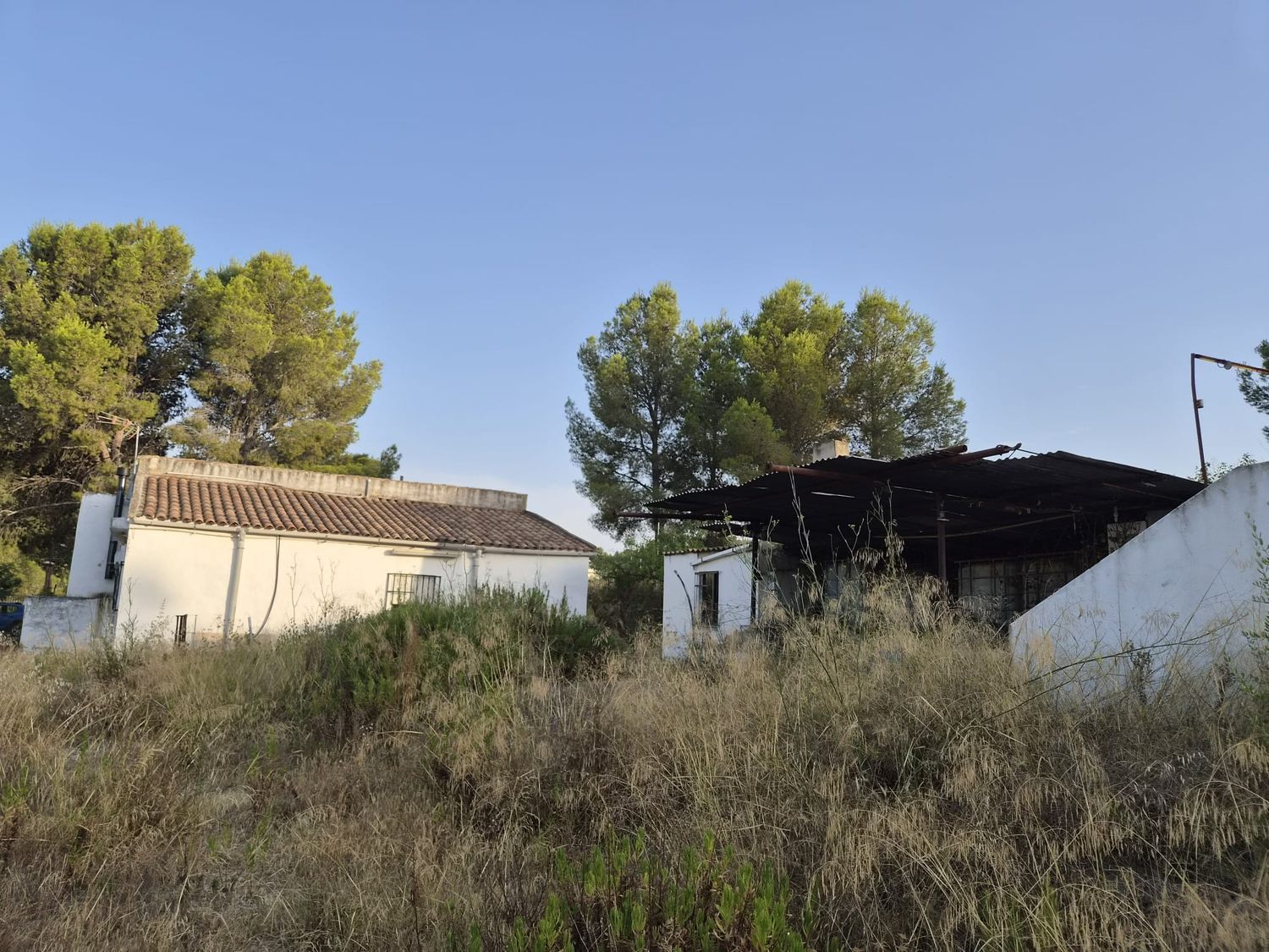 Finca rústica en Plaza Numero 3, 148, Las Pedrizas, Las Pedrizas - Foto 7