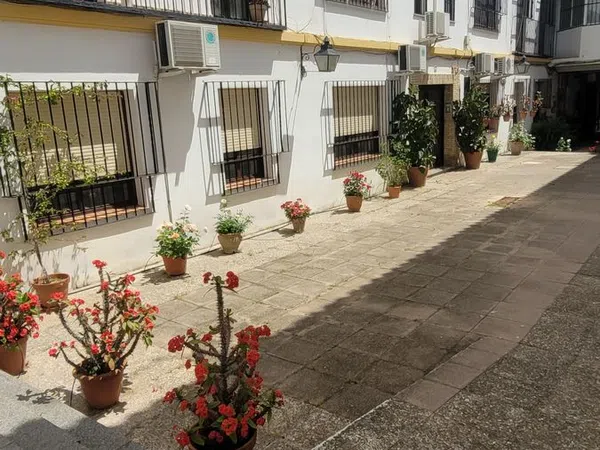 Piso en Calle San Pablo, 23, Casco Histórico - Ollerías - Marrubial - Foto 16