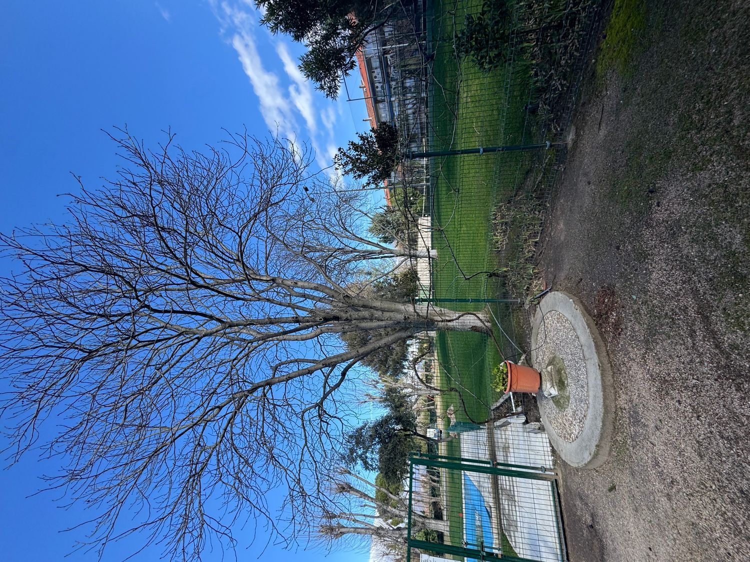 Piso en Calle Isla de Sálvora, 4, Parque de la Coruña - Las Suertes, Parque de la Coruña - Las Suertes - Foto 10