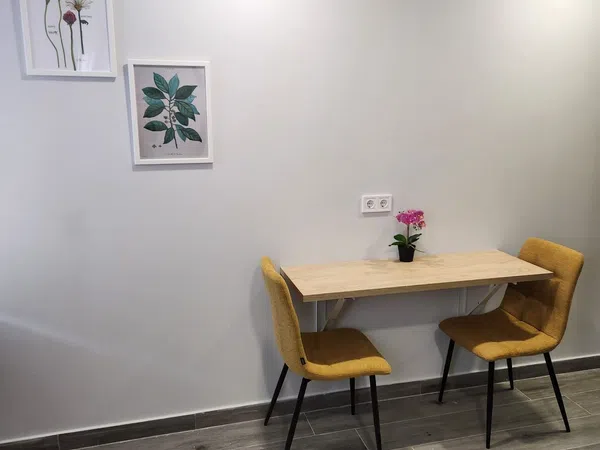Estudio en Avenida de Blasco Ibáñez, 87, Ciutat Jardí - Foto 21