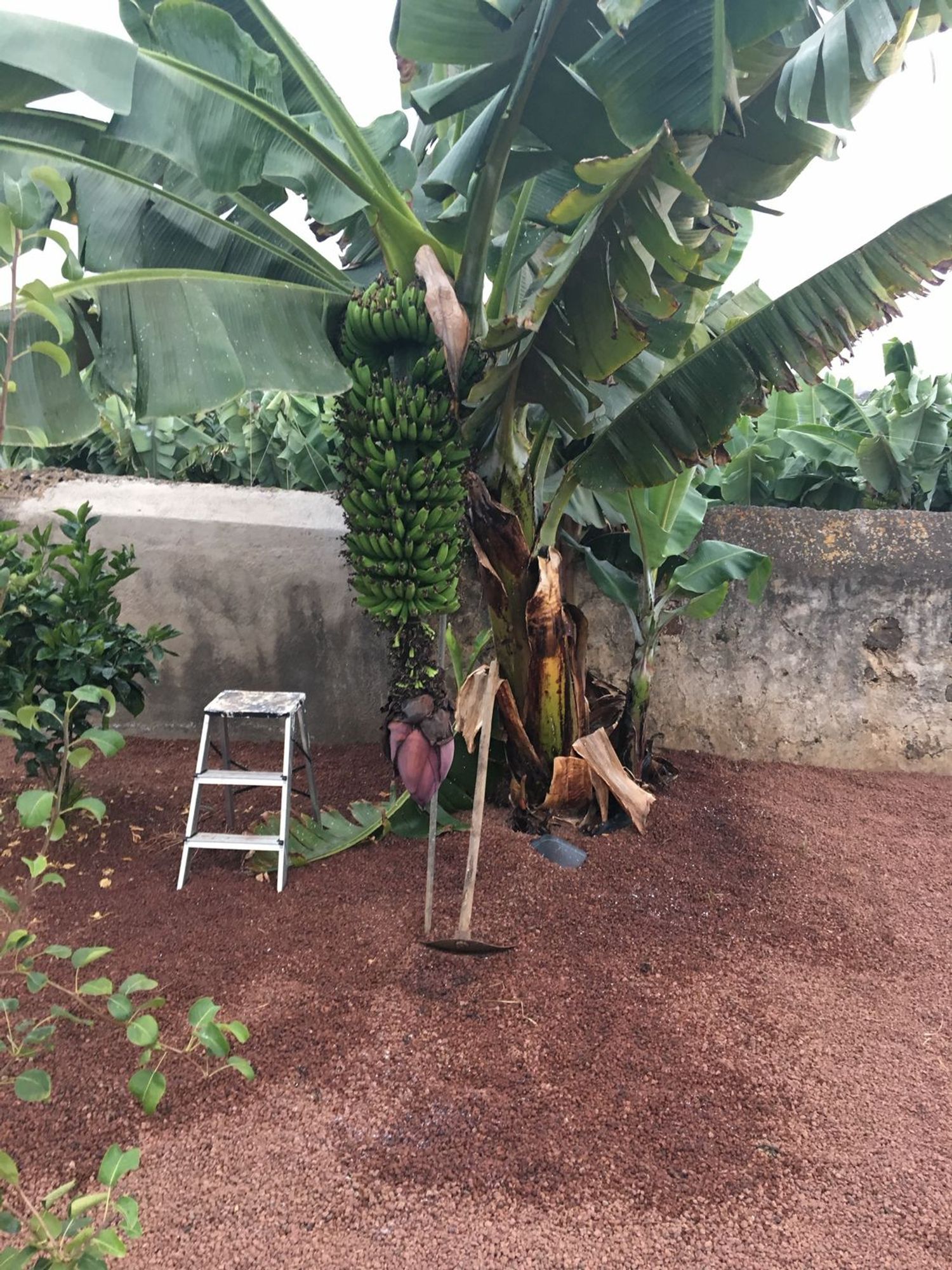 Casa independiente en calle Violeta del Teide, 2 - Foto 8