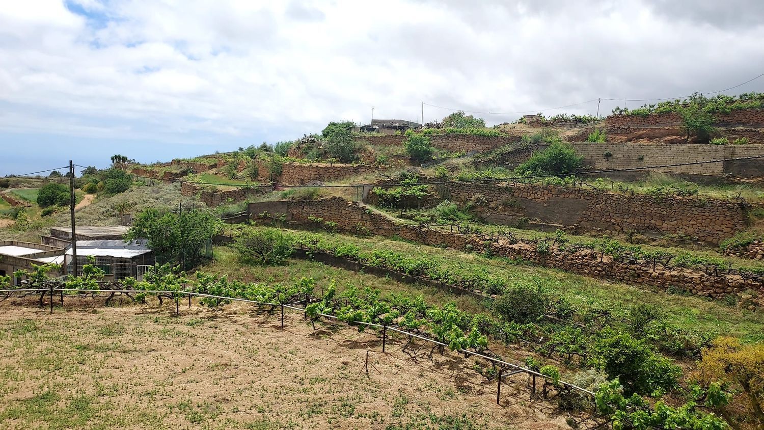 Finca rústica en Crta ortiz s/n - Foto 21