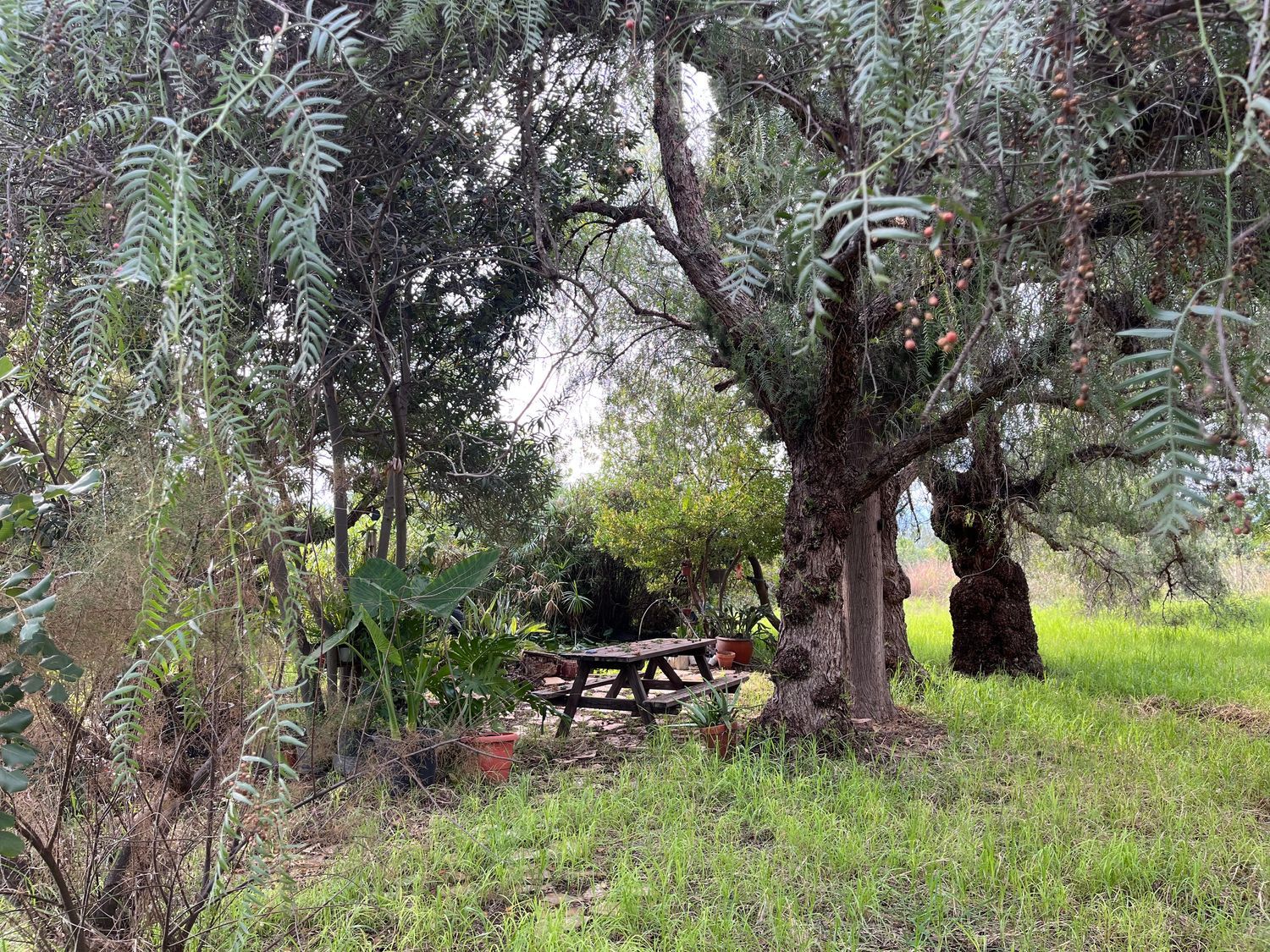 Casa independiente en Diseminado P068, 256 - Foto 28