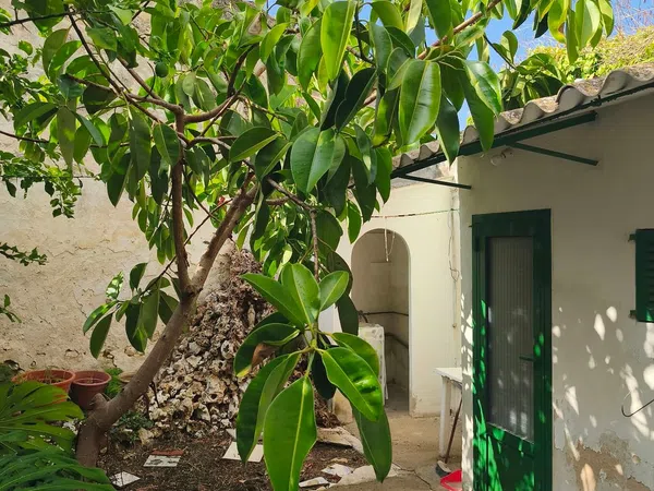 Casa de pueblo en Calle dels Bous, 127 - Foto 4