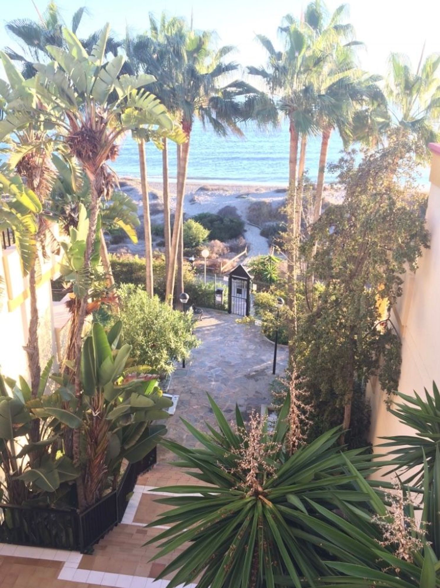 Piso en Avenida Jardines de las Golondrinas s/n, Romana Playa - Foto 12