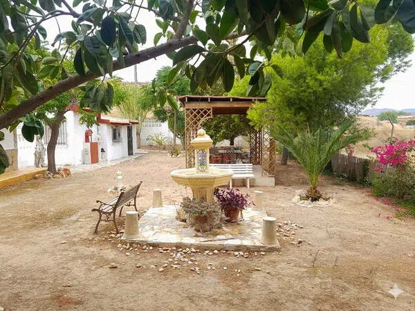 Casa o chalet independiente en Partida Collao, 47, La Huerta, La Huerta - Foto 7