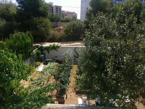 Casa o chalet independiente en Calle del Recholar, 12, El Balcó - Jaume I, El Balcó - Jaume I - Foto 37