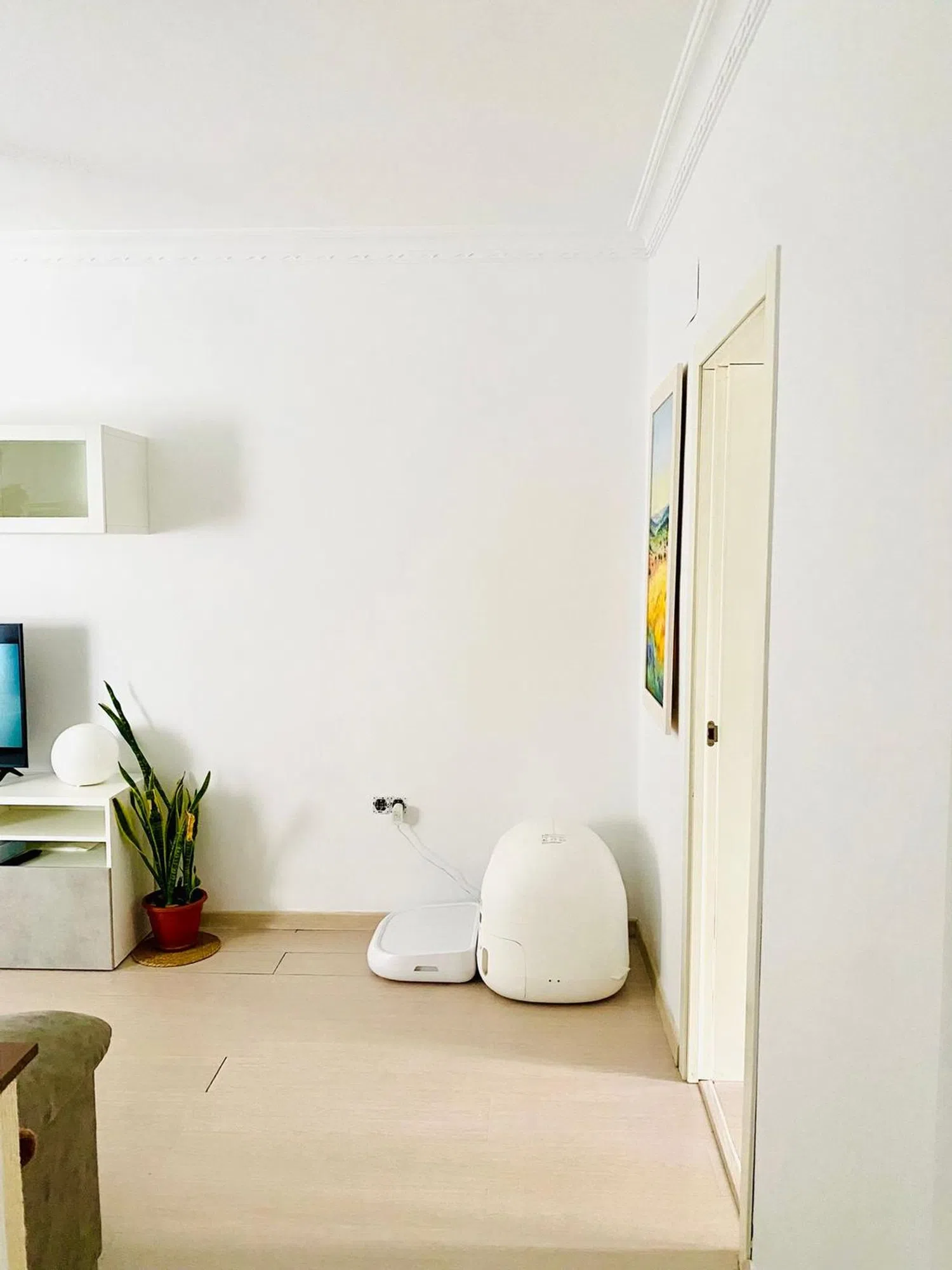 Piso - Foto 6