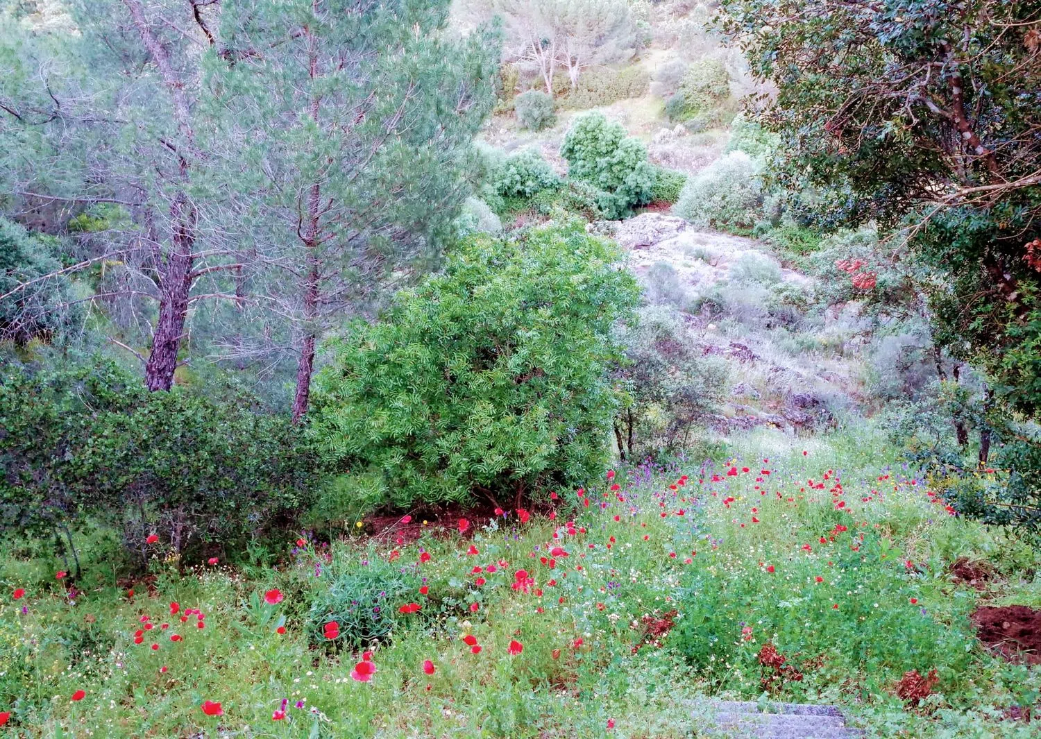 Casa independiente en calle cruz del sur, 5 - Foto 28