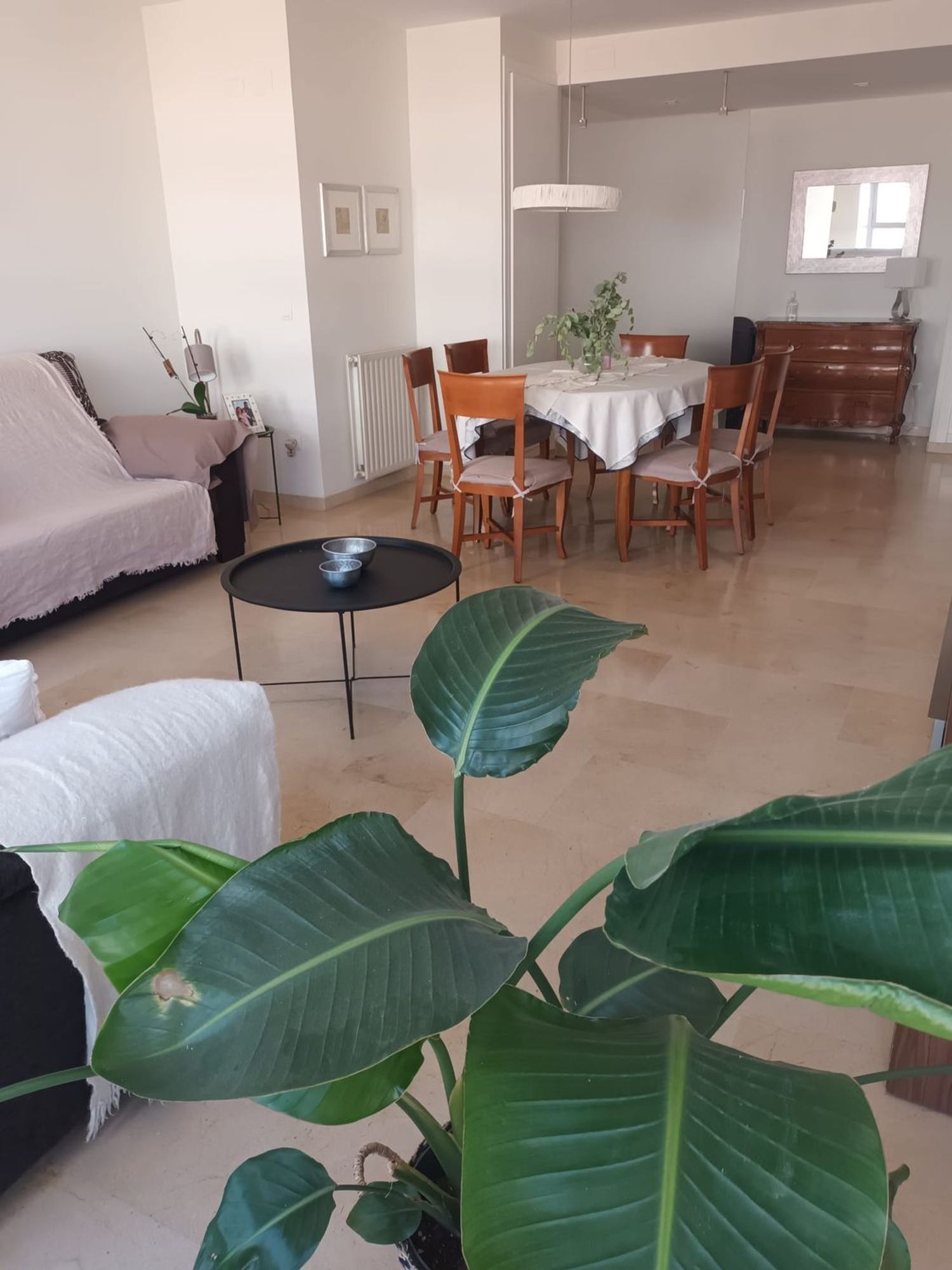 Alquiler de piso en Calle de José Meliá Sinisterra, 5 - Foto 1