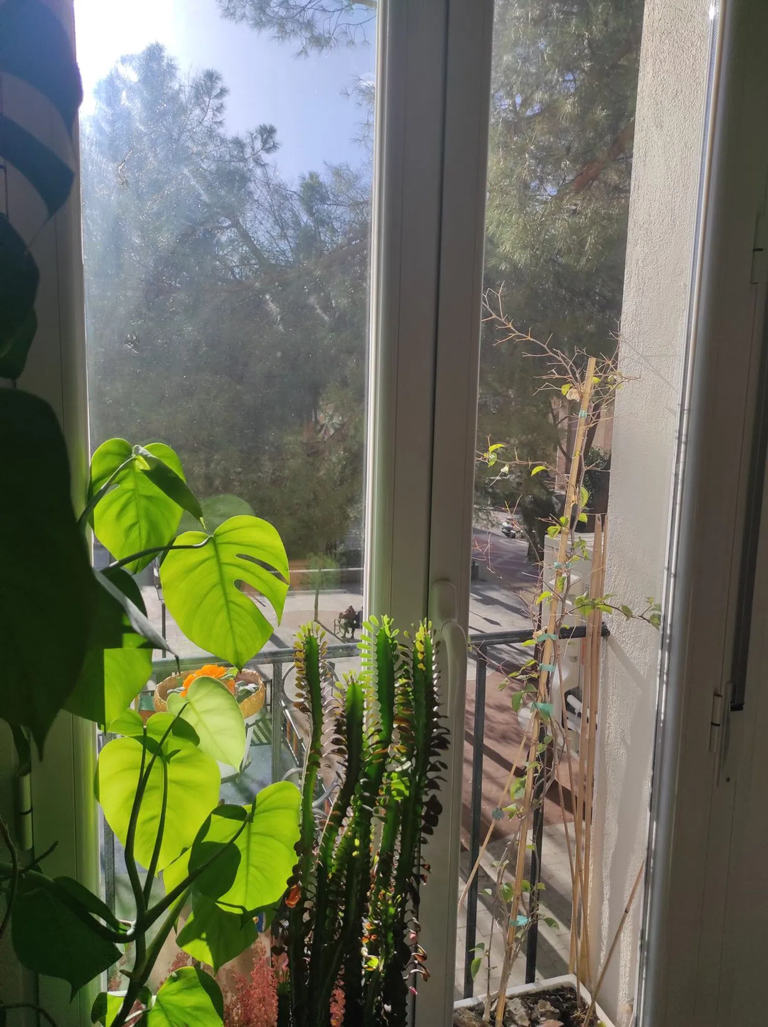 Piso en plaza de Rutilio Gacís, 5 - Foto 12