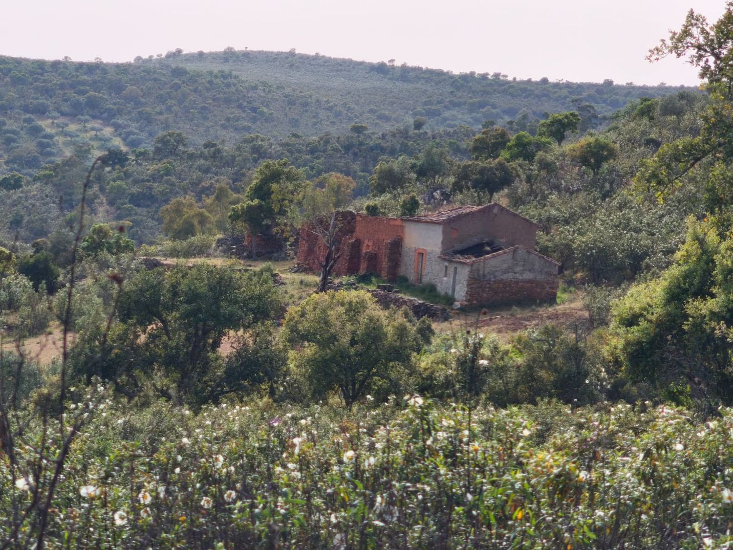 Finca rústica en La Lobera s/n - Foto 26