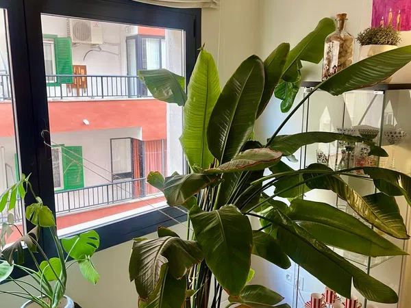 Piso en calle d'Andreu Feliu, 24 - Foto 5