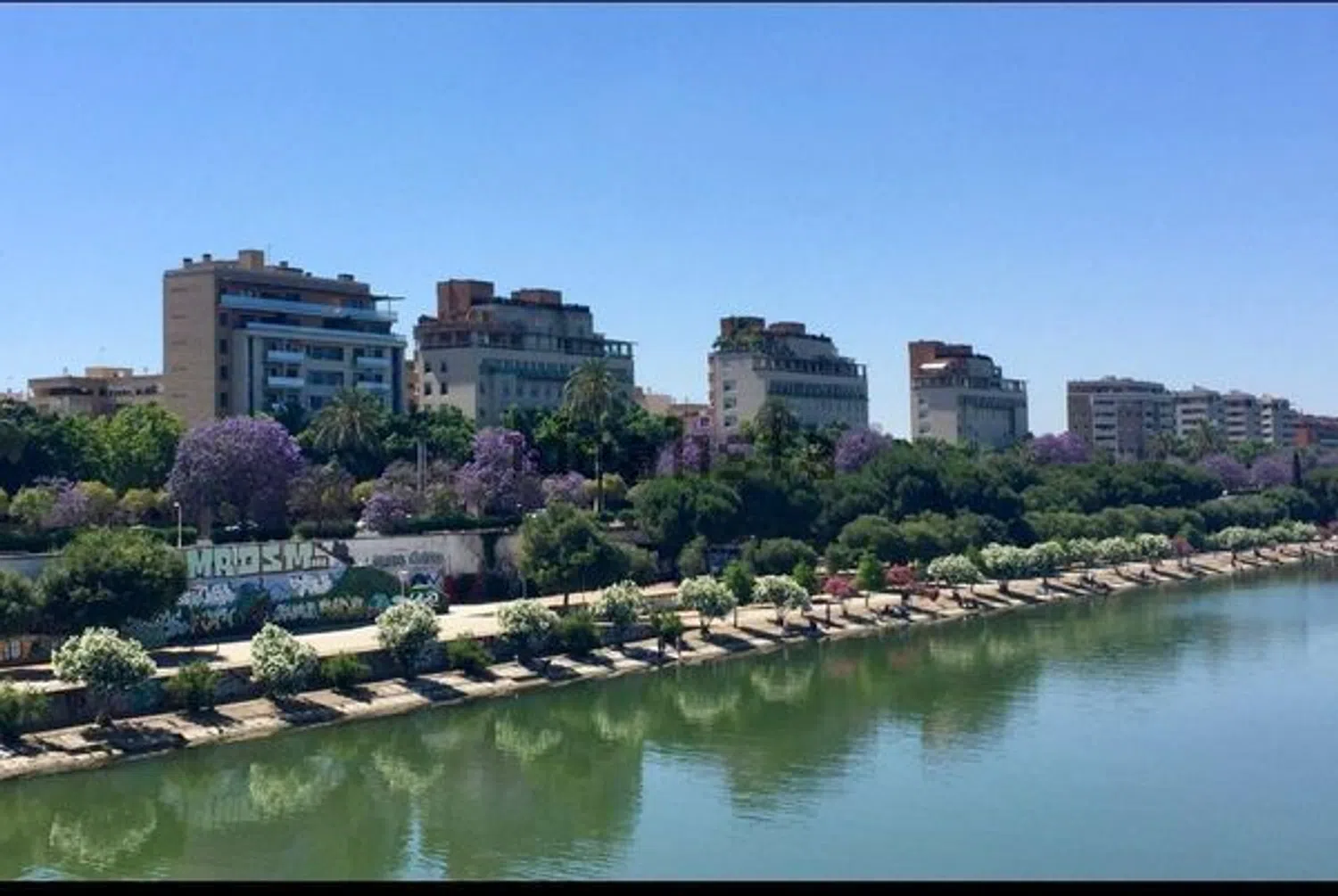 Piso en avenida Concejal Alberto Jiménez-Becerril, 26 - Foto 1