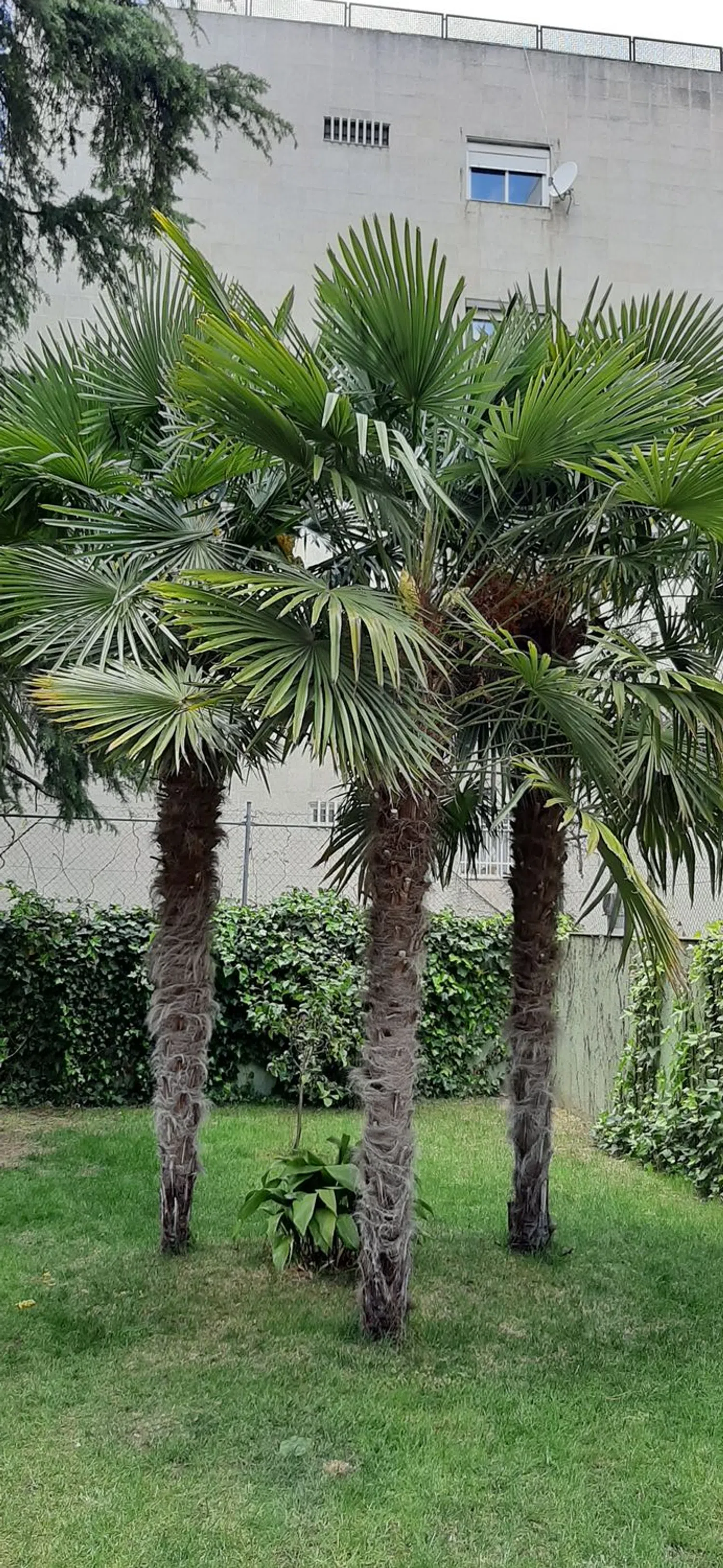 Piso en calle del Doctor Juan José López Ibor, 29 - Foto 25