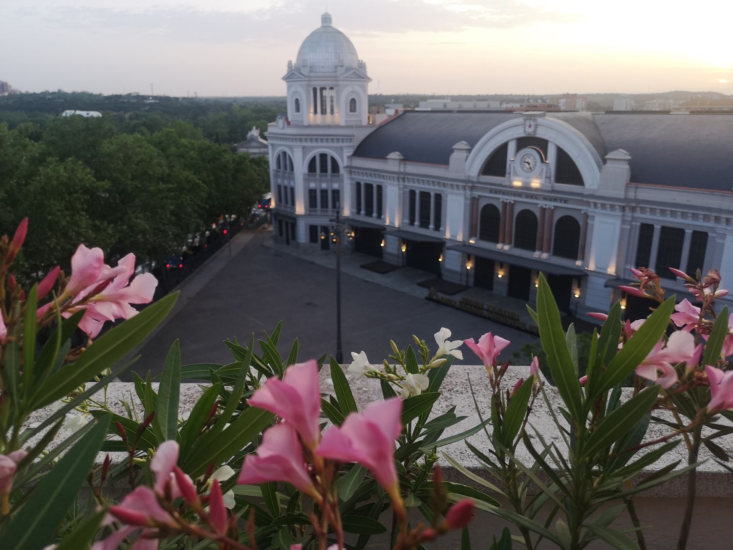Ático en paseo del Rey, 4 - Foto 1
