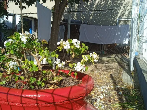 Casa de pueblo en El Raal, El Raal - Foto 9