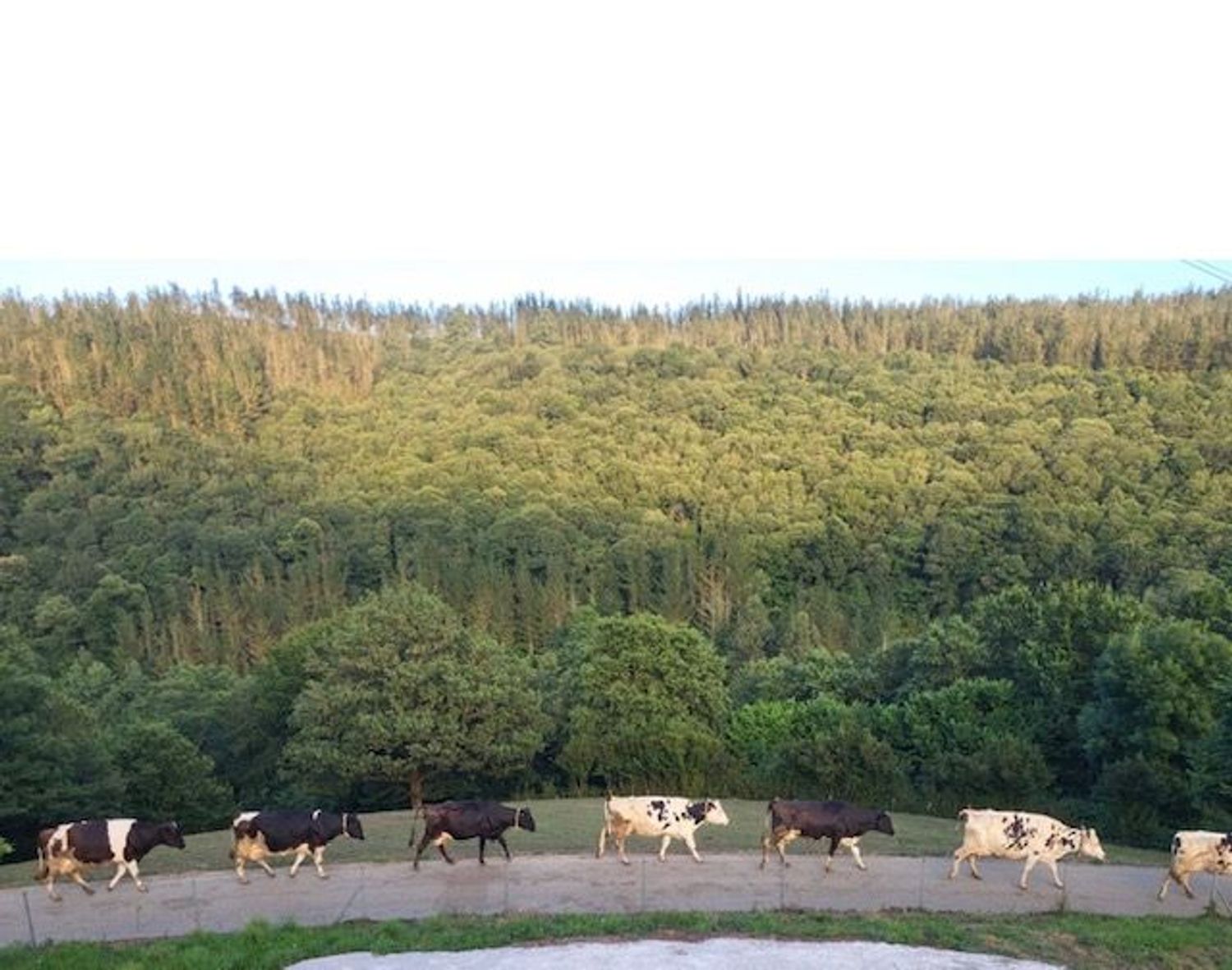 Finca rústica en Tineo - Foto 26
