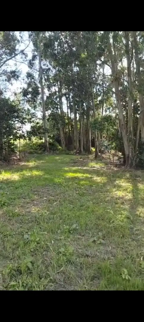 Finca rústica en  Barrio Sejo de Abajo 27 - Foto 2