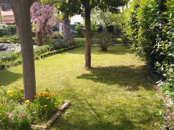 Casa o chalet independiente en Calle Estio, 7, Arcas Reales - Pinar del Jalón, Arcas Reales - Pinar del Jalón - Foto 11